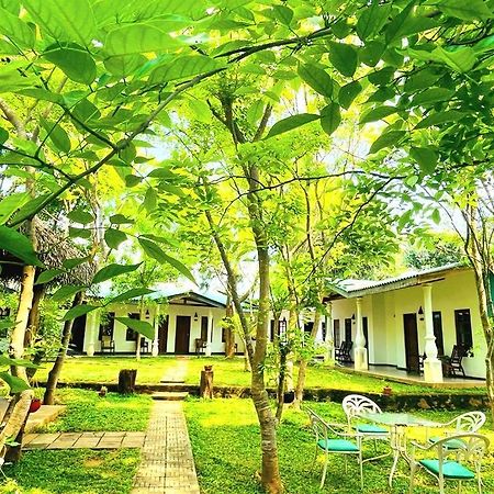 Kingfisher Resort سيغيرِيا المظهر الخارجي الصورة