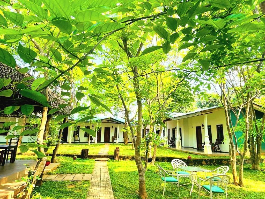 Kingfisher Resort سيغيرِيا المظهر الخارجي الصورة
