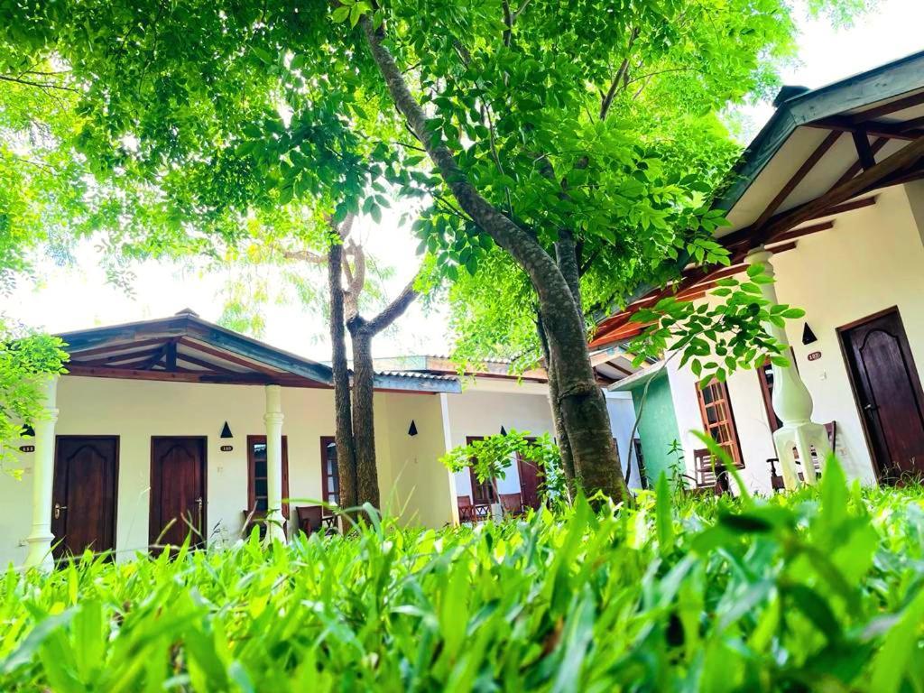 Kingfisher Resort سيغيرِيا المظهر الخارجي الصورة